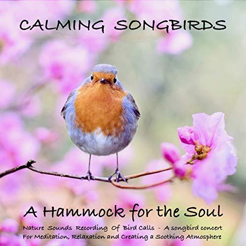 Art for 03 - Calming Songbirds by Yella A. Deeken