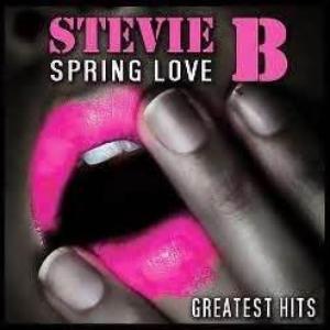 Art for Because I Love You by Stevie B