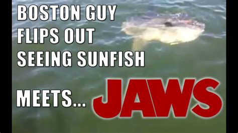 غلاف Boston Fisherman Freaks Out About Fish