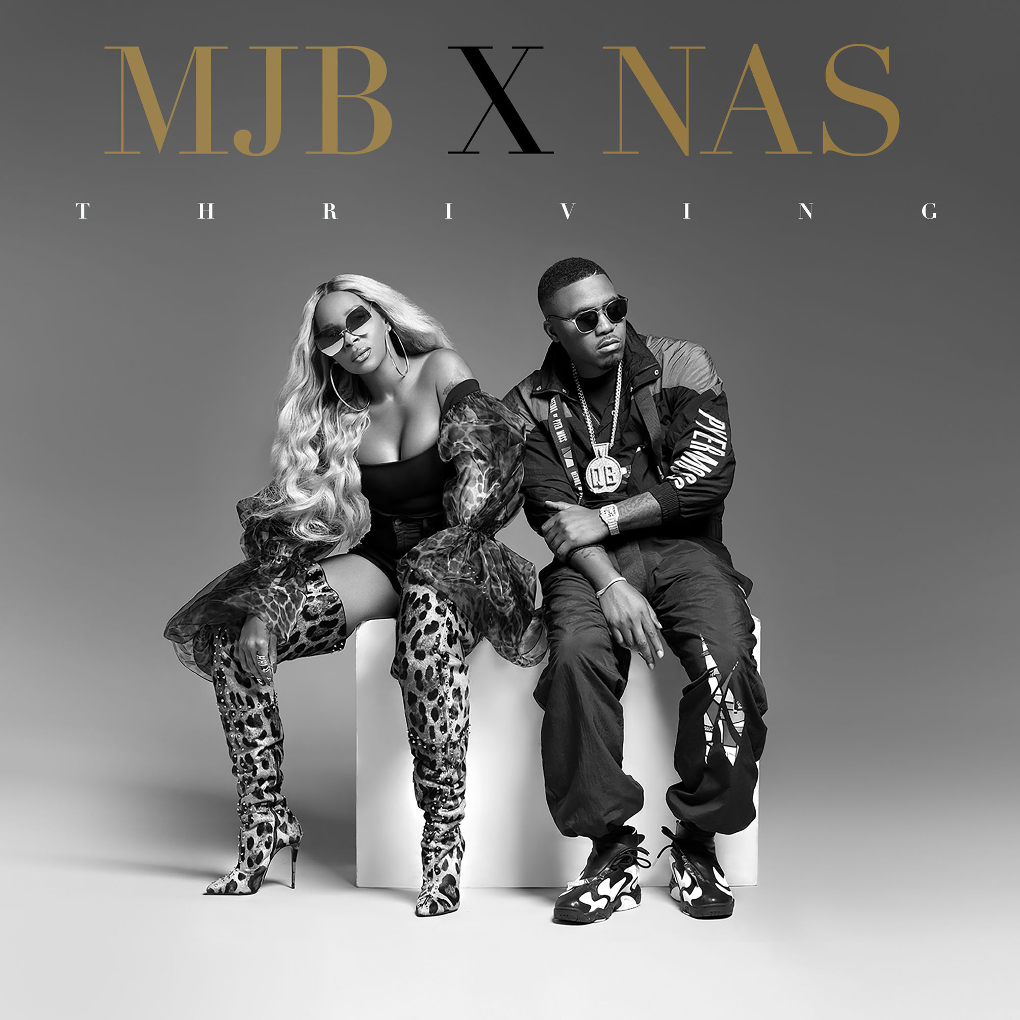 Art for Thriving (Feat. Nas) by Mary J. Blige