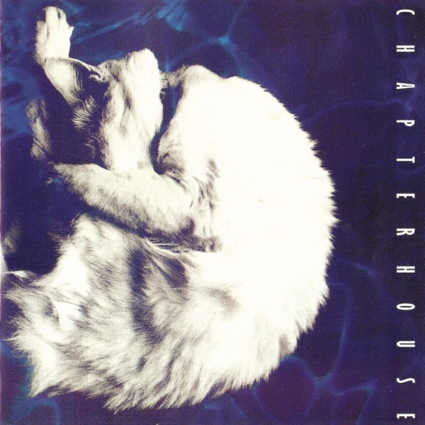 Artwork for Breather