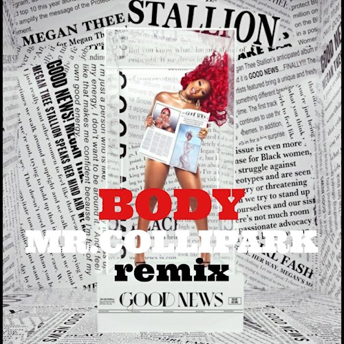 Art for Body (Mr Collipark Remix Clean) by Megan Thee Stallion