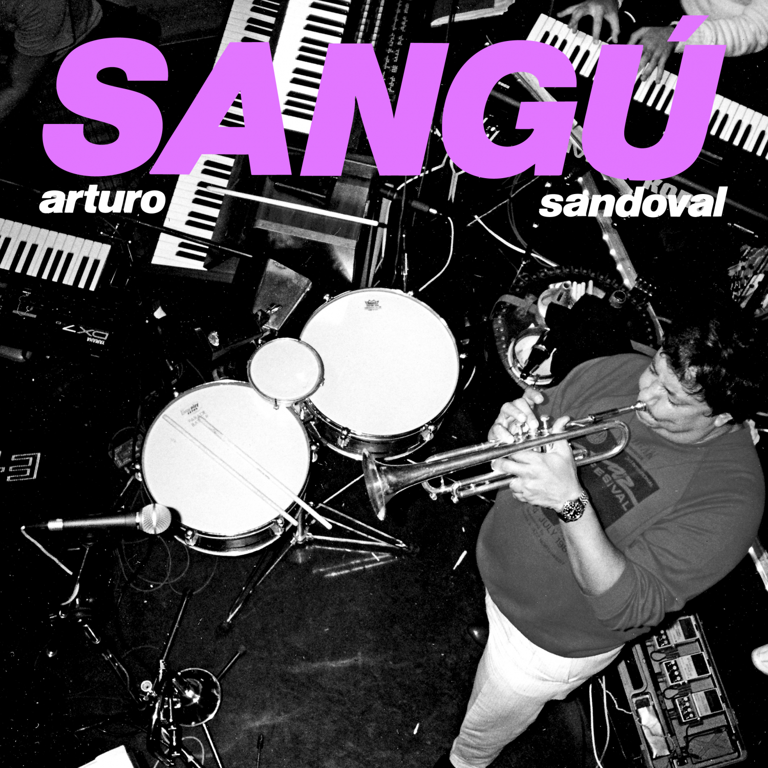 Artwork for Sangu
