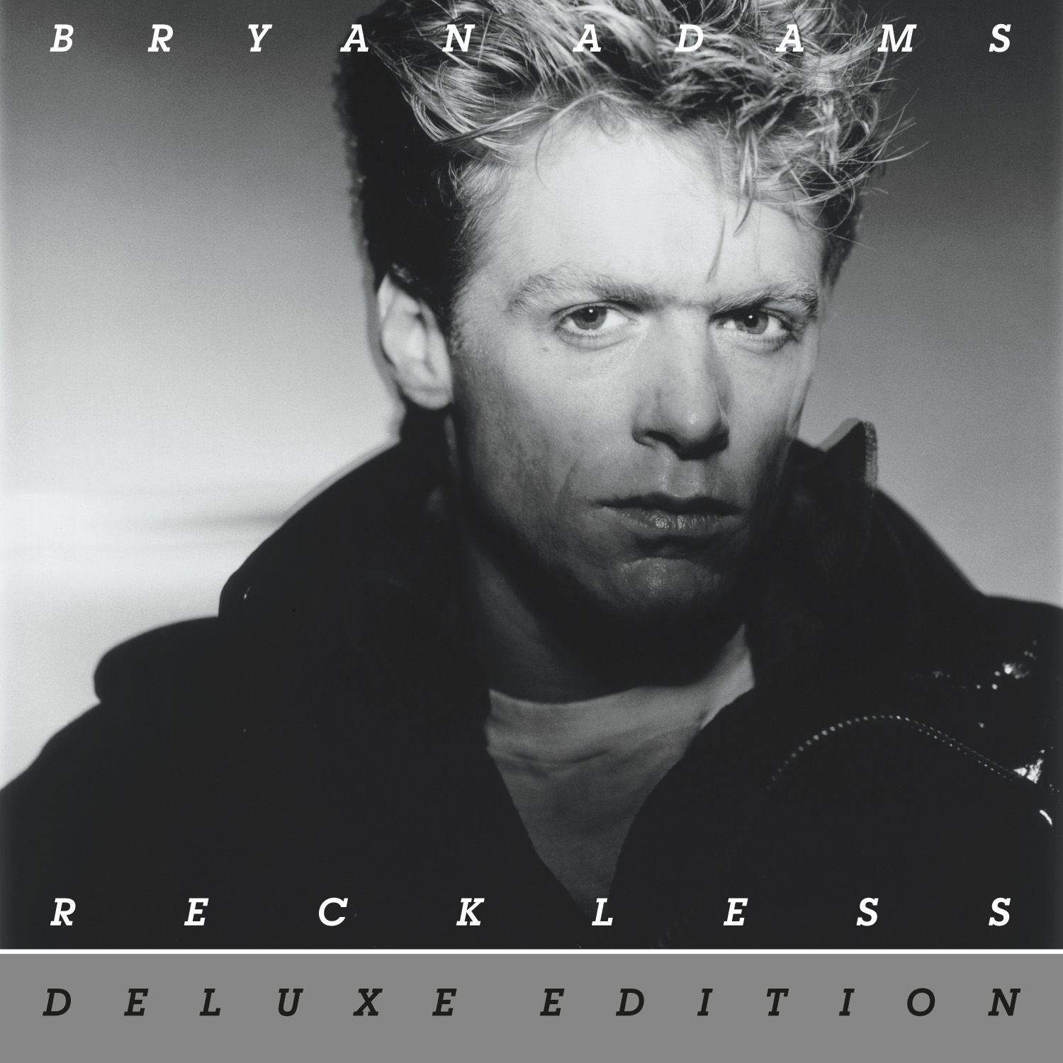 Art for Summer of '69 by Bryan Adams