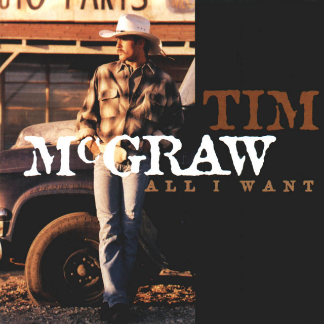 Art for I Like It, I Love It by Tim McGraw