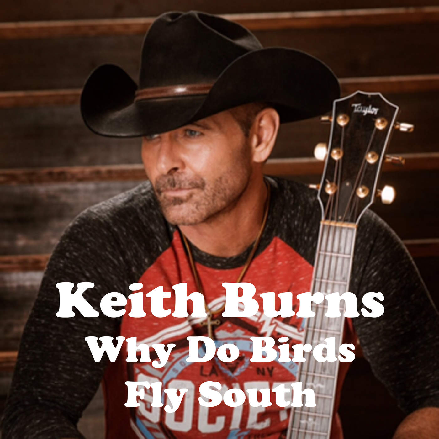 Art for Why Do Birds Fly South by Keith Burns