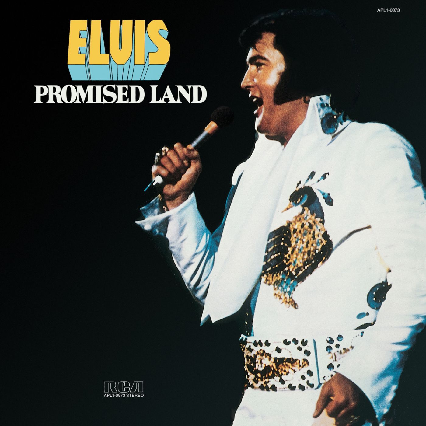 Art for Promised Land by Elvis Presley