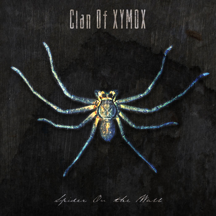 Art for She by Clan Of Xymox