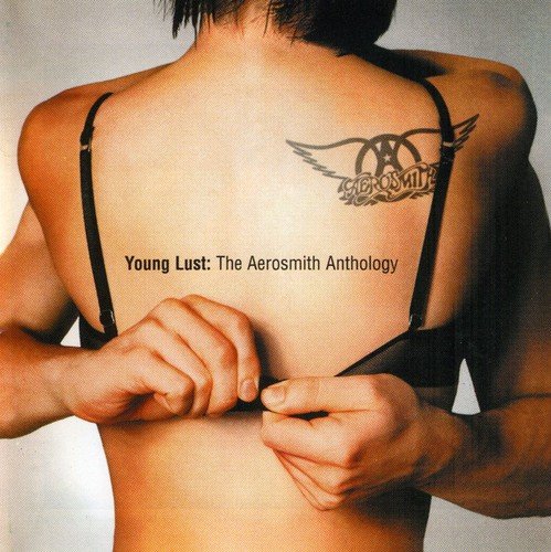 Art for My Fist Your Face by Aerosmith