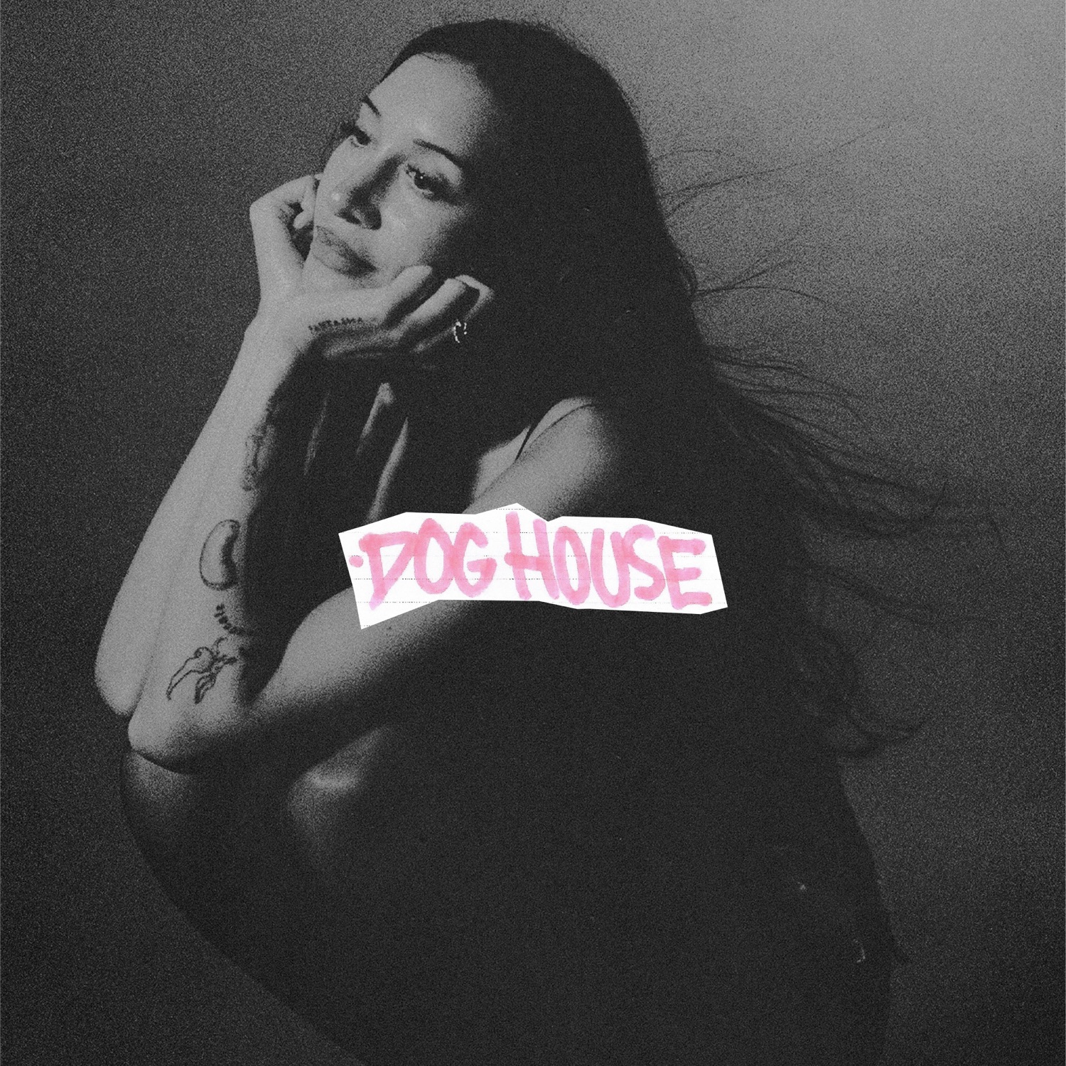 Artwork for DOG HOUSE