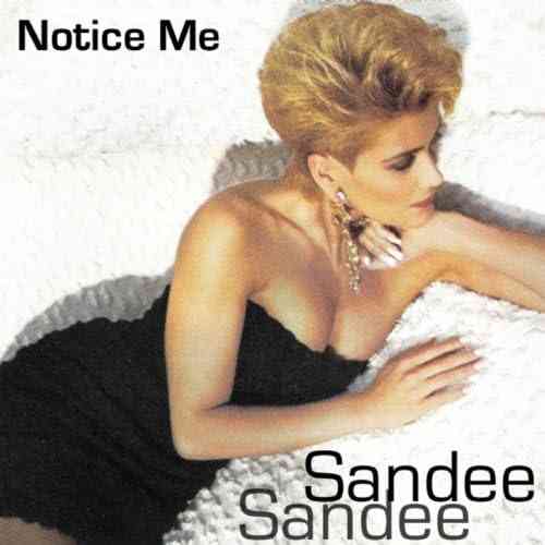 Capa de Notice Me