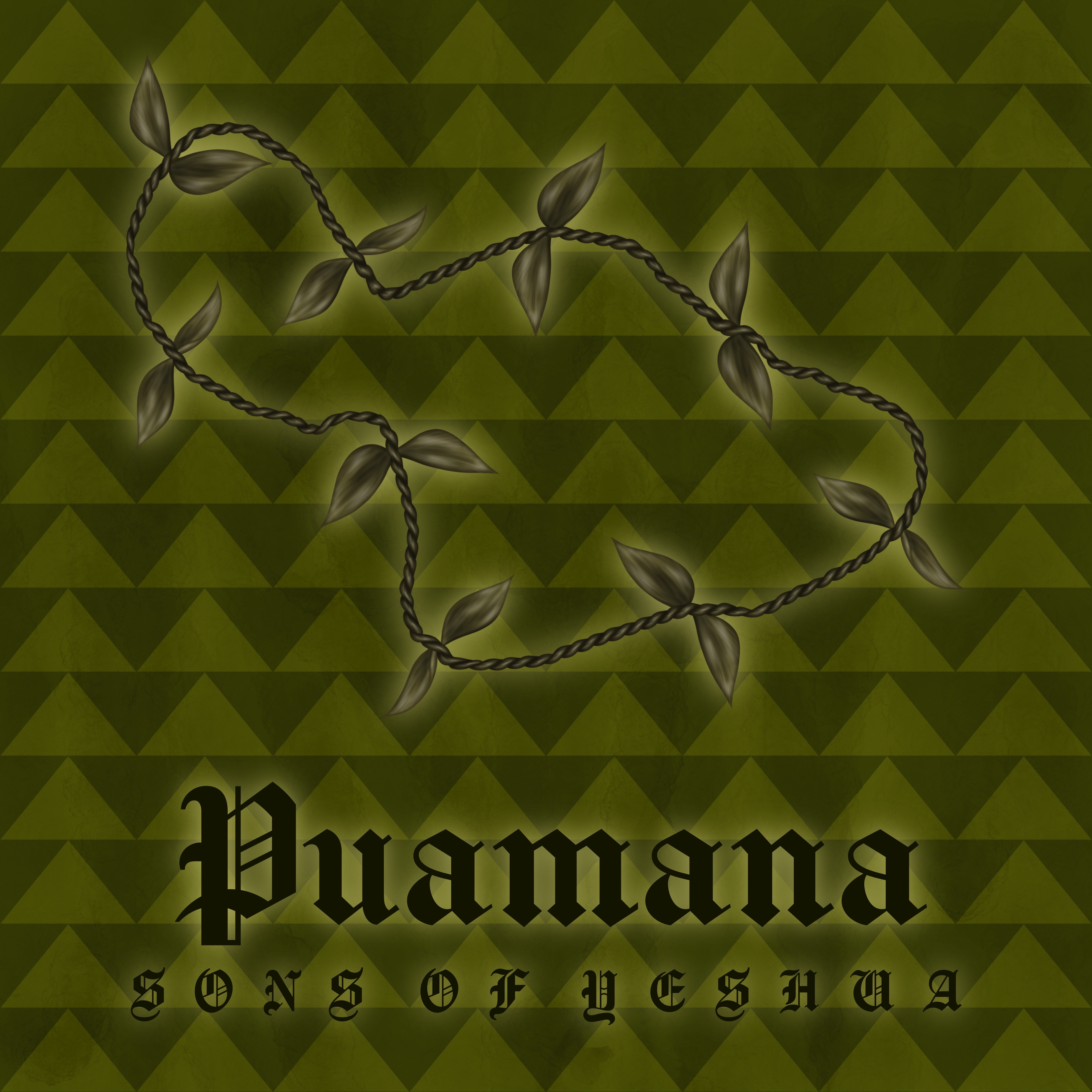 Artwork for Puamana