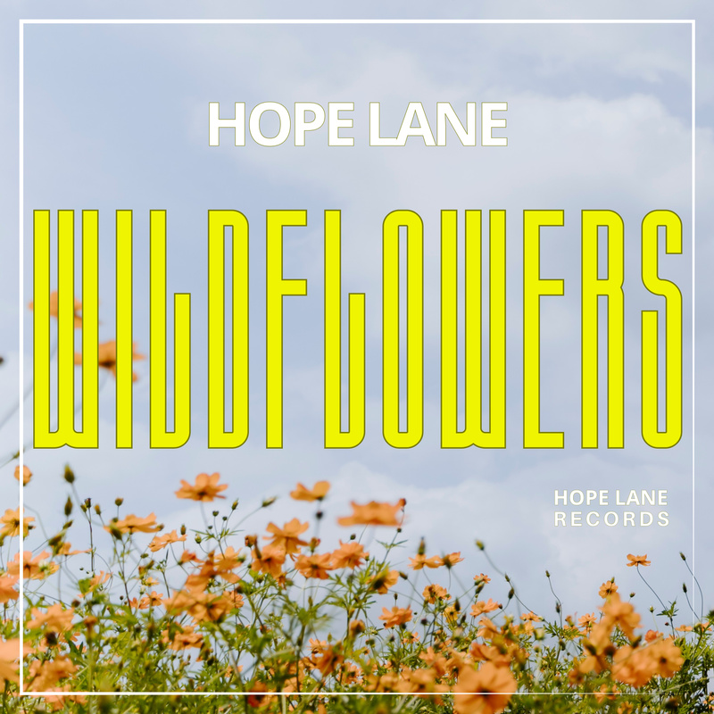 Wildflowers album art