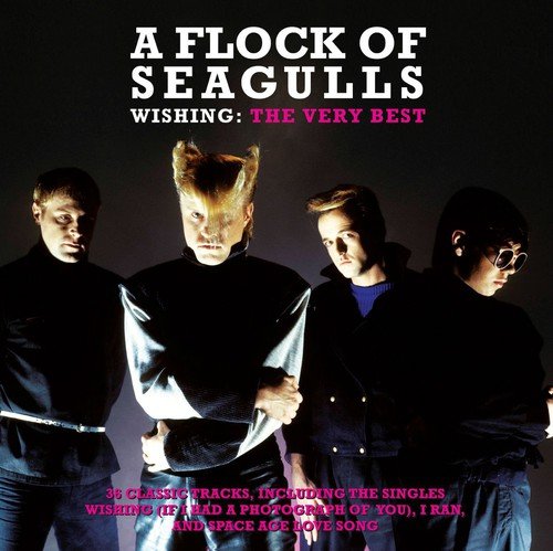 Art for Wishing (If I Had A Photograph Of You) (Extended Version) by A Flock Of Seagulls