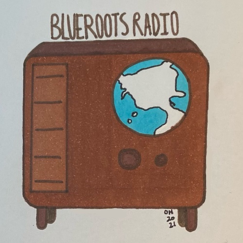 BlueRootsRadio Freeform/Eclectic logo