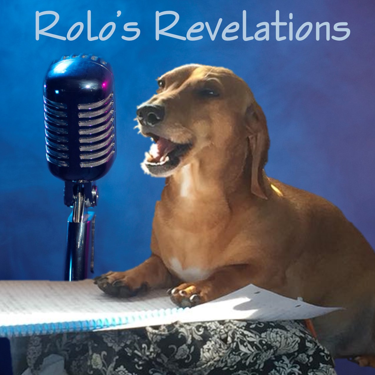 Art for Rolo's Revelations by Rolo and Friends