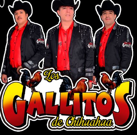 Art for ya no me busques by Los Gallitos De Chihuahua