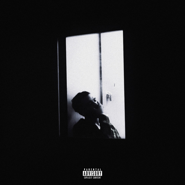 Artwork for TWENTY NIGHTS