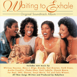 Art for Why Does It Hurt So Bad - from "Waiting to Exhale" - Original Soundtrack by Whitney Houston