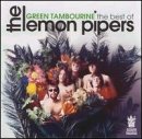 Artwork for Green Tamborine