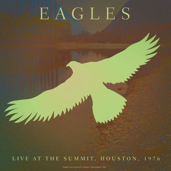 Art for Rocky Mountain Way (Live) by Eagles