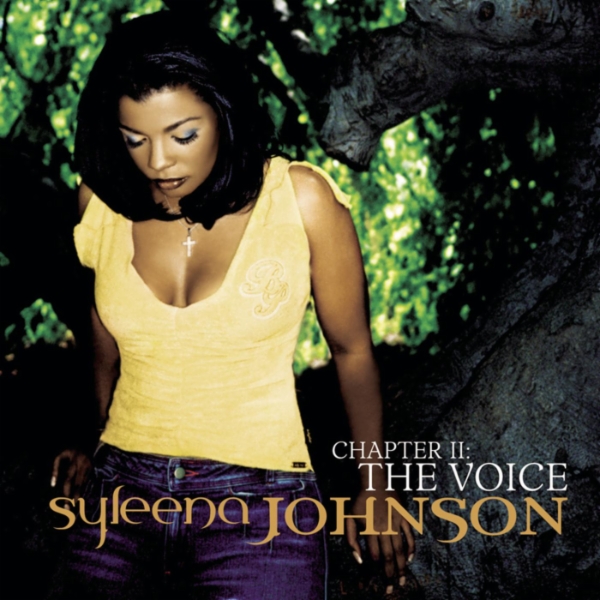 Art for Guess What by Syleena Johnson