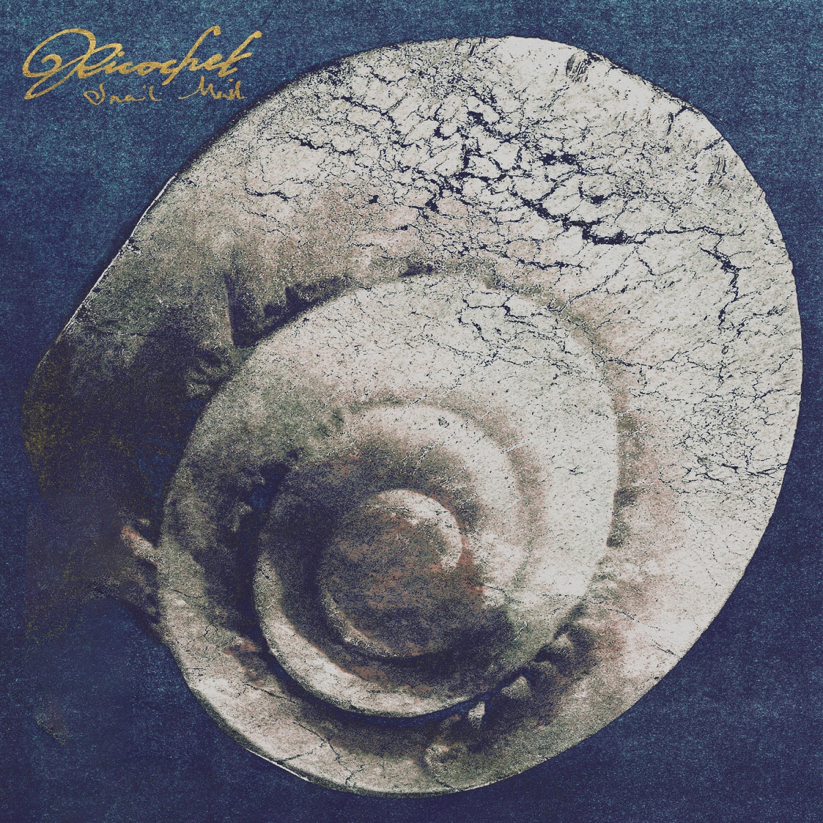 Artwork for Butterfly
