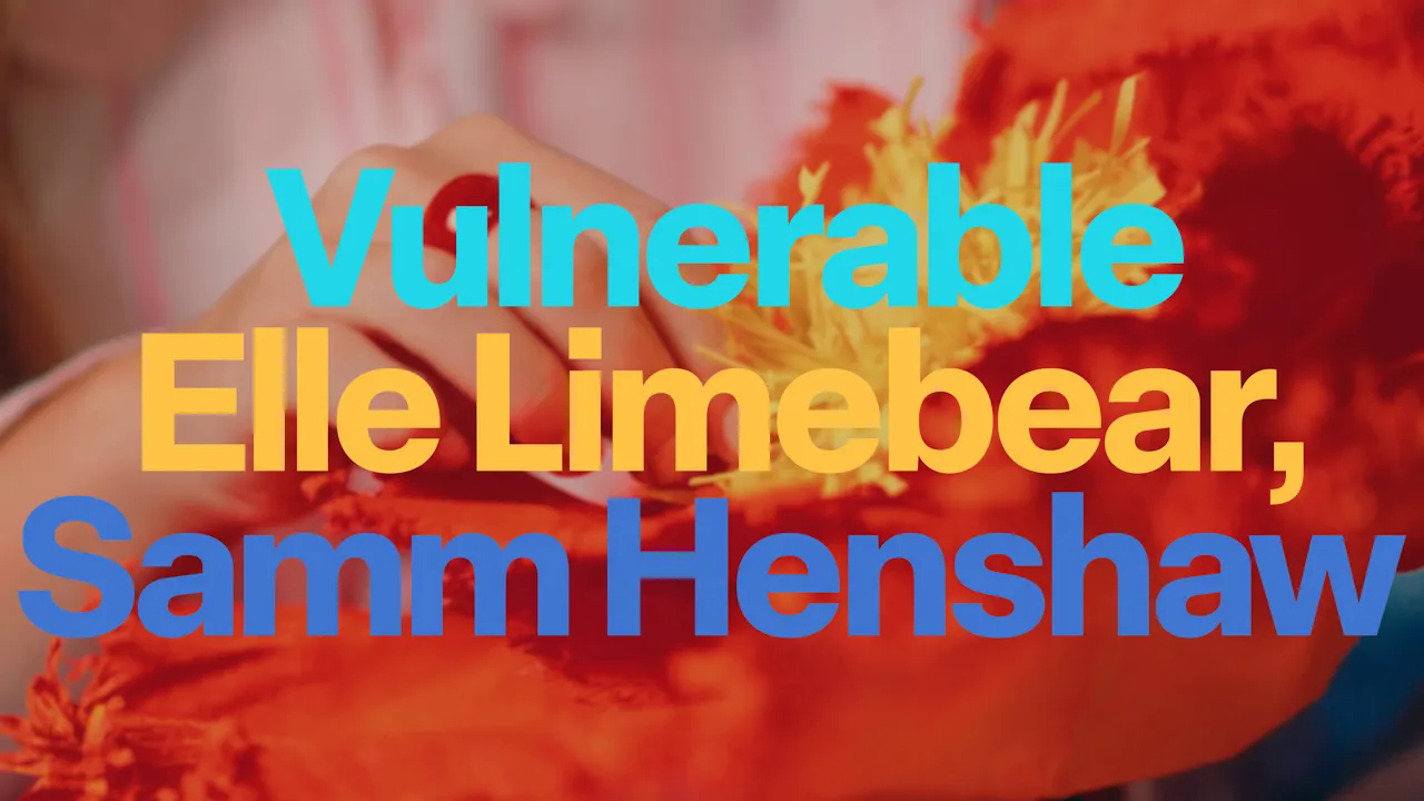 Обложка Vulnerable