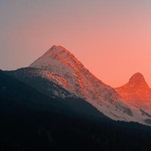 Artwork for Morning Light